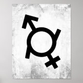Genderfluid Gender Symbol Poster (Vorne)