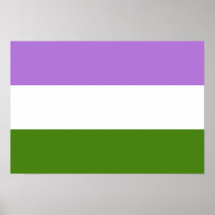 Genderqué-Pride-Flagge Poster