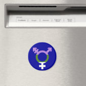 Genderqueer Flag Trans Symbol Magnet (In Situ (Geschirrspüler))