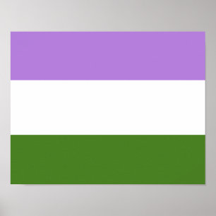 Genderqueer Pride Flag Poster