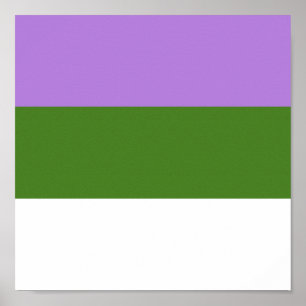 GENDERQUEER PRIDE POSTER
