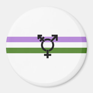 Genderqueer-Stolzflagge Magnet
