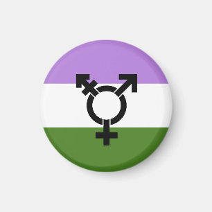 Genderqueer-Stolzflagge Magnet
