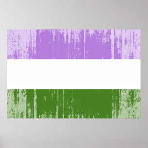 Genderqueer-Stolzflagge Poster