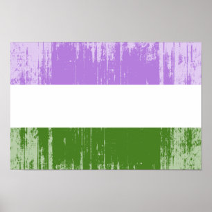 Genderqueer-Stolzflagge Poster