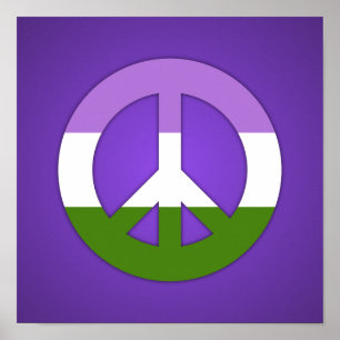 Genderqueer-Stolzflagge Poster