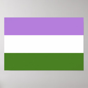 Genderqueer-Stolzflagge Poster