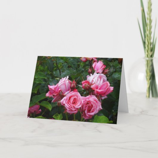 Gene Boerner Rose #1 Karte (Vorderseite)