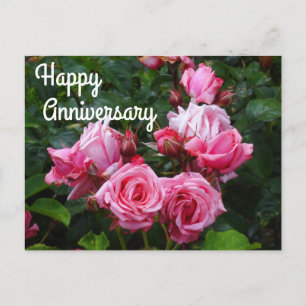 Gene Boerner Rose #1 Postcard zum glücklichen Jubi Postkarte