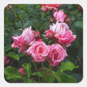 Gene Boerner Rose #1 Stickers