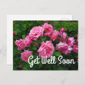 Gene Boerner Rose #2 Postkarte (Vorne/Hinten)