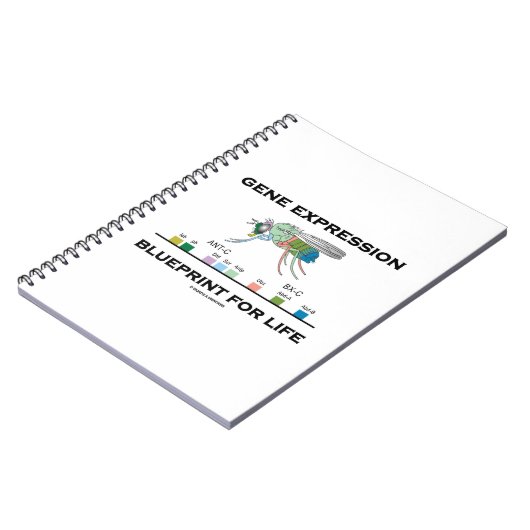 Gene Expression Blueprint for Life Homeobox Genes Notizblock (Linke Seite)