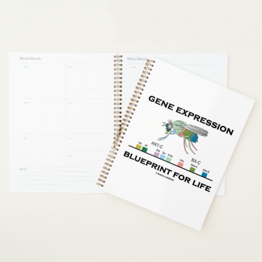 Gene Expression Blueprint for Life Homeobox Genes Planer (Anzeige)