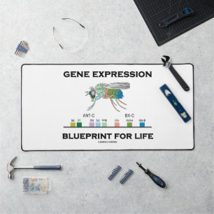 Gene Expression Blueprint for Life Homeobox Genes Schreibtischunterlage