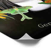 Gene Stratton Porter Portrait Digitale Malerei Poster (Ecke)