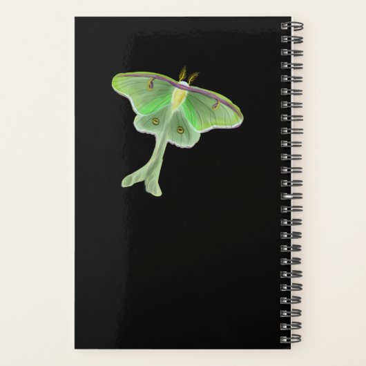 Gene Stratton Porter Portrait Planer (Rückseite)