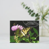 Gene Stratton Porter's Garden bei Wildblume Woods Postkarte (Stehend Vorderseite)