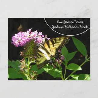 Gene Stratton Porter's Garden bei Wildblume Woods Postkarte