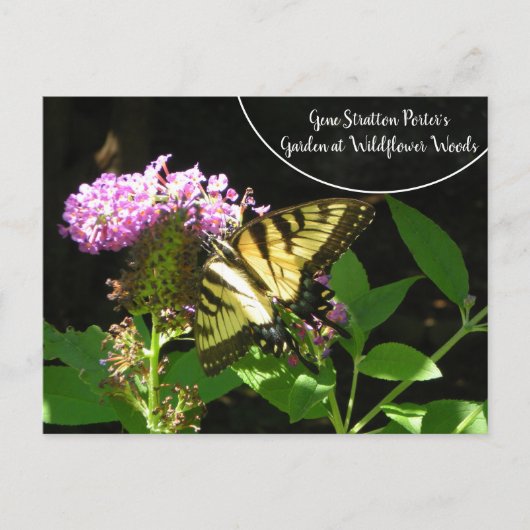 Gene Stratton Porter's Garden bei Wildblume Woods Postkarte (Vorderseite)