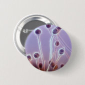 Gene wiedervereinigten sich digitale Kunst Button (Vorne & Hinten)