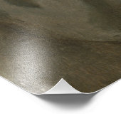 General Dwight Eisenhower 5-Sterne-Portrait Fotodruck (Ecke)