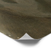 General Dwight Eisenhower 5-Sterne-Portrait Poster (Ecke)