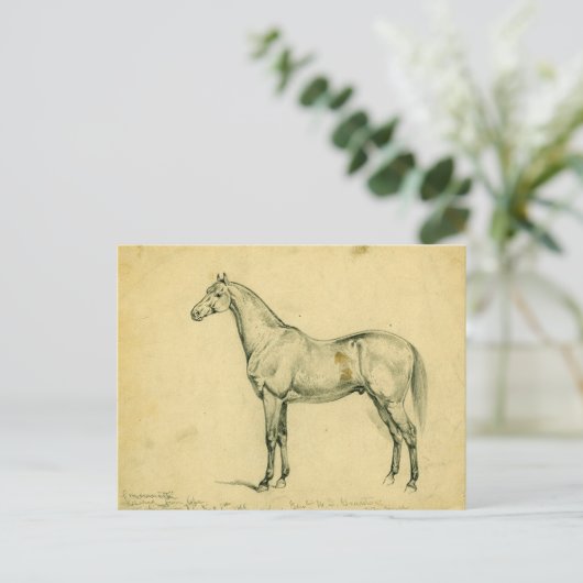 General Grants Kriegspferd Postkarte (Stehend Vorderseite)