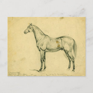 General Grants Kriegspferd Postkarte