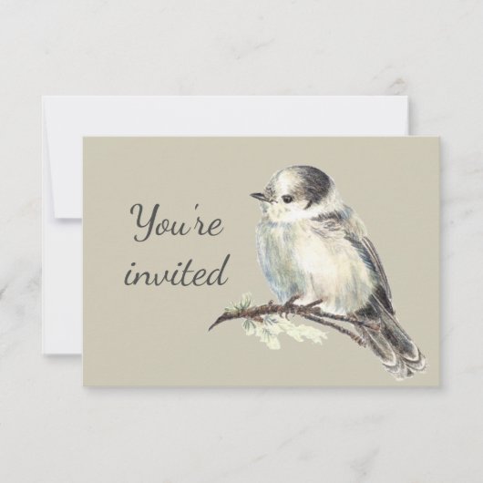 General Invite Custom Gray Jay Bird aus Kanada Einladung (Vorderseite)