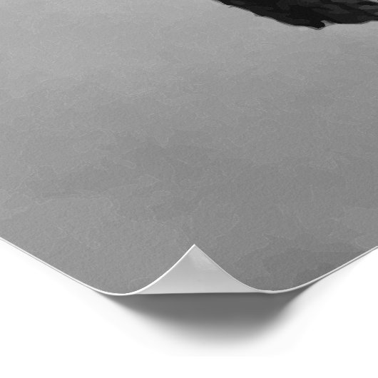 General Joseph Wheeler Poster (Ecke)