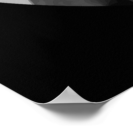 General Joshua Lawrence Chamberlain Poster (Ecke)