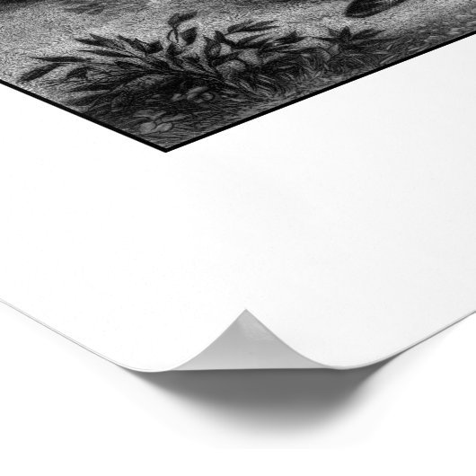 General Robert E. Lee Poster (Ecke)