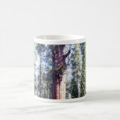 General Sherman Bäume Wälder Kaffeetasse (Mittel)
