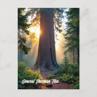 General Sherman Tree - Kalifornien Postkarte