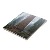 General Sherman Tree, Sequoia, CA Fliese (Seite)