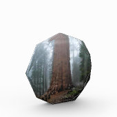 General Sherman Tree, Sequoia, CA Fotoblock (Links)