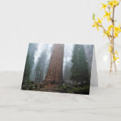 General Sherman Tree, Sequoia, CA Karte (Gelbe Blume)