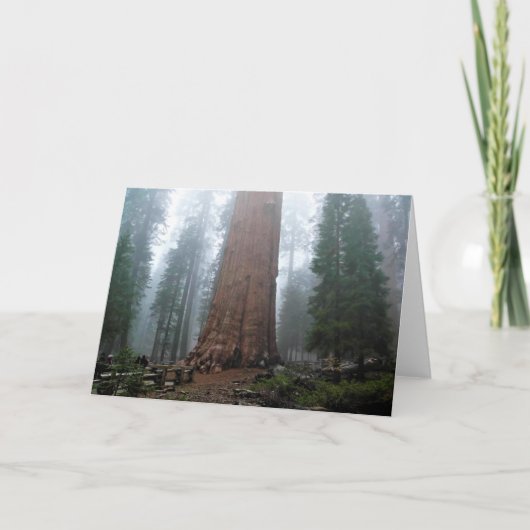 General Sherman Tree, Sequoia, CA Karte (Vorderseite)