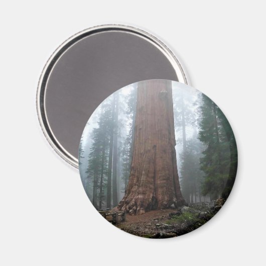 General Sherman Tree, Sequoia, CA Magnet (Vorderseite/Rückseite)