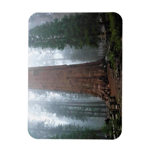 General Sherman Tree, Sequoia, CA Magnet (Vertikal)