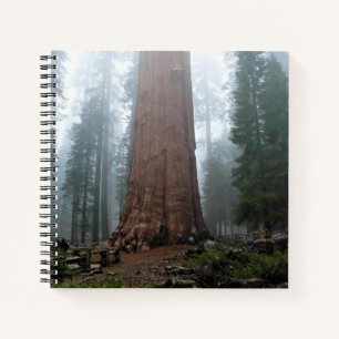 General Sherman Tree, Sequoia, CA Notizblock