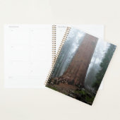 General Sherman Tree, Sequoia, CA Planer (Anzeige)