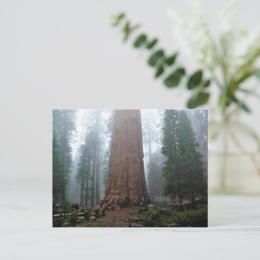 General Sherman Tree, Sequoia, CA Postkarte (Stehend Vorderseite)