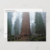 General Sherman Tree, Sequoia, CA Postkarte (Vorne/Hinten)