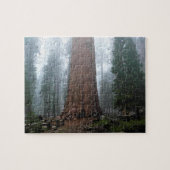 General Sherman Tree, Sequoia, CA Puzzle (Horizontal)