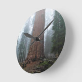 General Sherman Tree, Sequoia, CA Runde Wanduhr (Winkel)