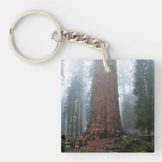 General Sherman Tree, Sequoia, CA Schlüsselanhänger (Vorderseite)