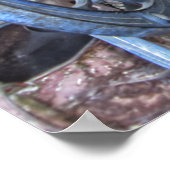 General Store - Virginia City Ghost Town - Montana Poster (Ecke)