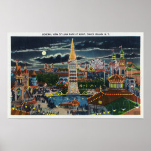 General View of Luna Park at Night Poster