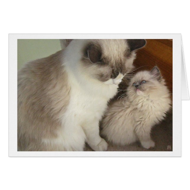 Generationen (Vorderseite (Horizontal))